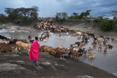 Predavanje - Žiri03